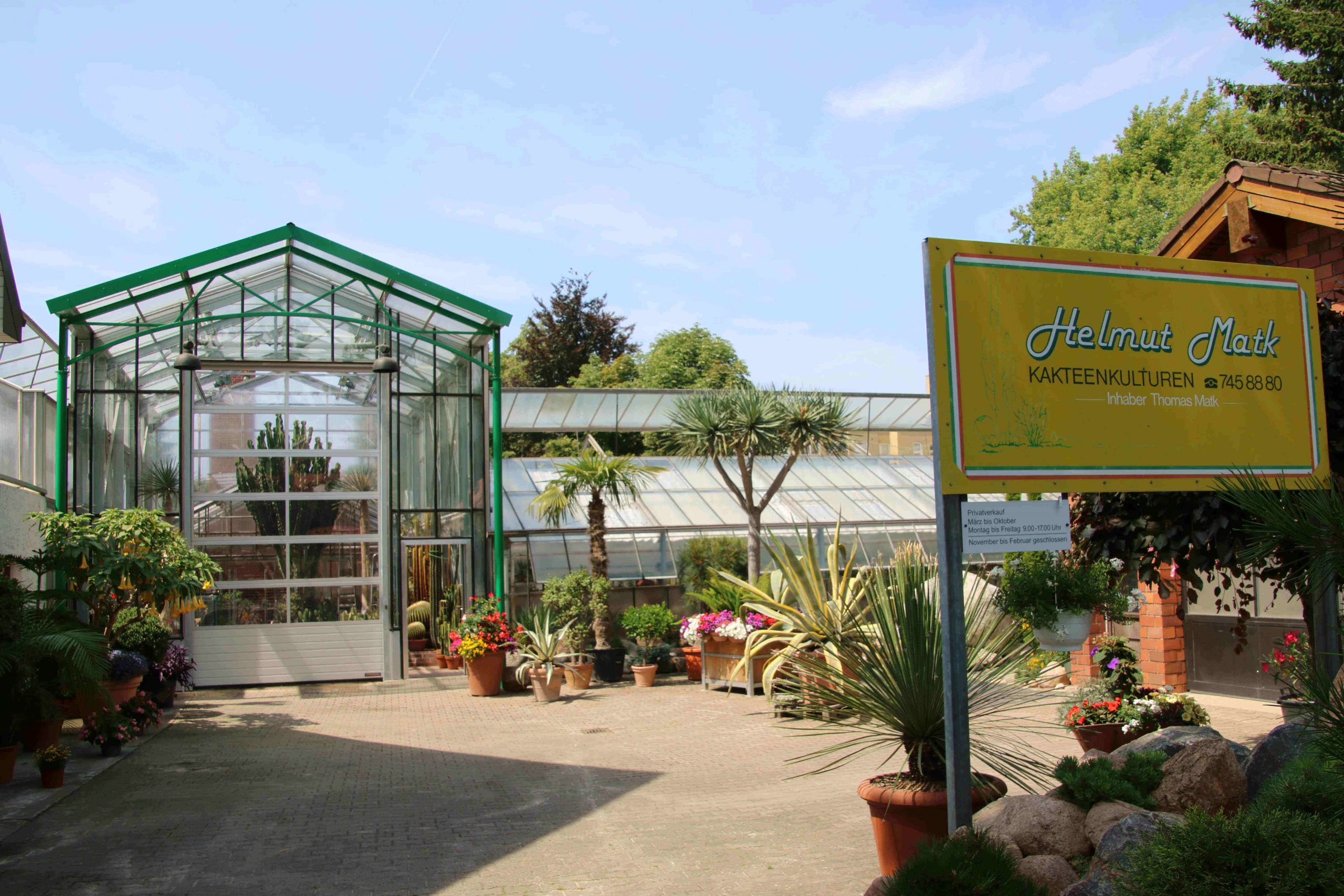 Kakteengärtnerei Helmut Matk